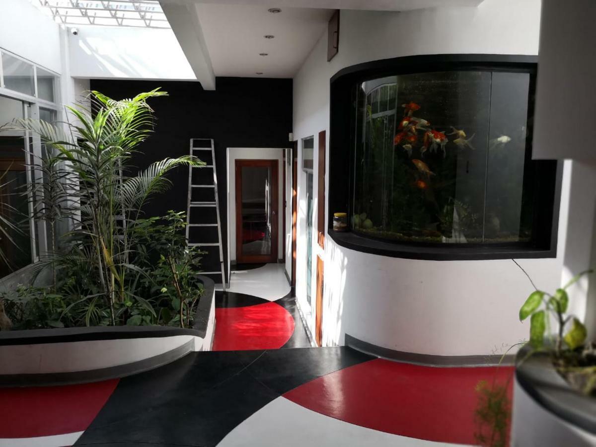 Apartments And Rooms Distecon Гватемала Экстерьер фото